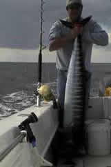 monster wahoo charter fishing off oak island nc